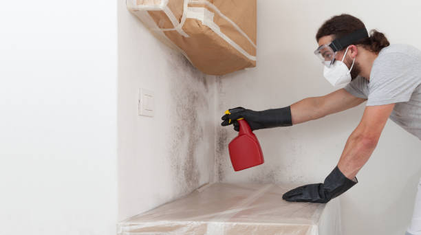 Professional Mold Cleanup technician working in Lake Dallas, TX
