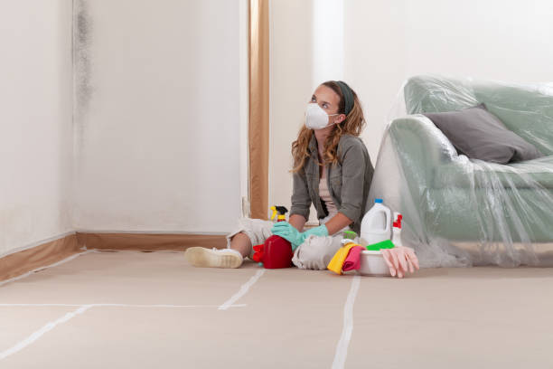 Reliable Mold Cleanup contractor in Lake Dallas, TX by WQB Mold Removal